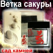 Сад камней ветка сакуры